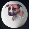 ceramic cabinet knob american staffordshire terrier pitbull
