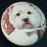 cabinet knob West Highland terrier