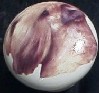 ceramic cabinet knob wheaton terrer 