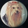 ceramic cabinet knob yorkshire terrer 