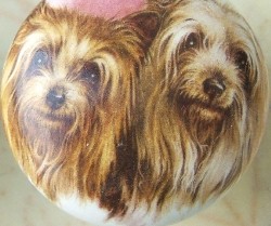 ceramic cabinet knob yorkshire terrer 