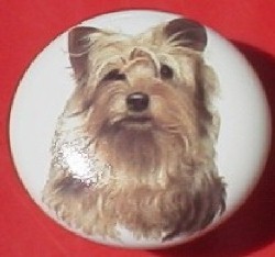 ceramic cabinet knob yorkshire terrer 