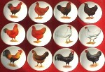 Cabinet Knob roosters hens