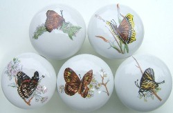 Cabinet Knob Butterfly Butterflies