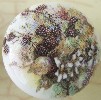 CERAMIC CABINET KNOB KNOBS FRUIT BLACK RASPBERRIES RASPBERRY