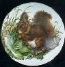 CERAMIC CABINET KNOB KNOBS  WILDLIFE SQUIRRELS SQUIRREL