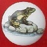 CERAMIC CABINET KNOB KNOBS  FROG TOAD