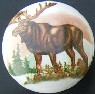 CERAMIC CABINET KNOB KNOBS  WILDLIFE MOOSE