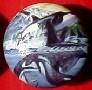CERAMIC CABINET KNOB KNOBS  SALT WATER  FISH ORCA WHALE WILLIE