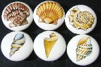 CERAMIC CABINET KNOB KNOBS  SEA SHELLS SEASHELLS SHELL 