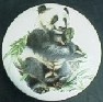 CERAMIC CABINET KNOB KNOBS  WILDLIFE PANDA BEAR