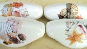 Drawer Pull Pretty Sea Shells